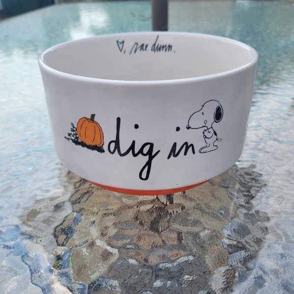 Rae Dunn Pet Bowl, "Dig In" new - Picture 6 of 6